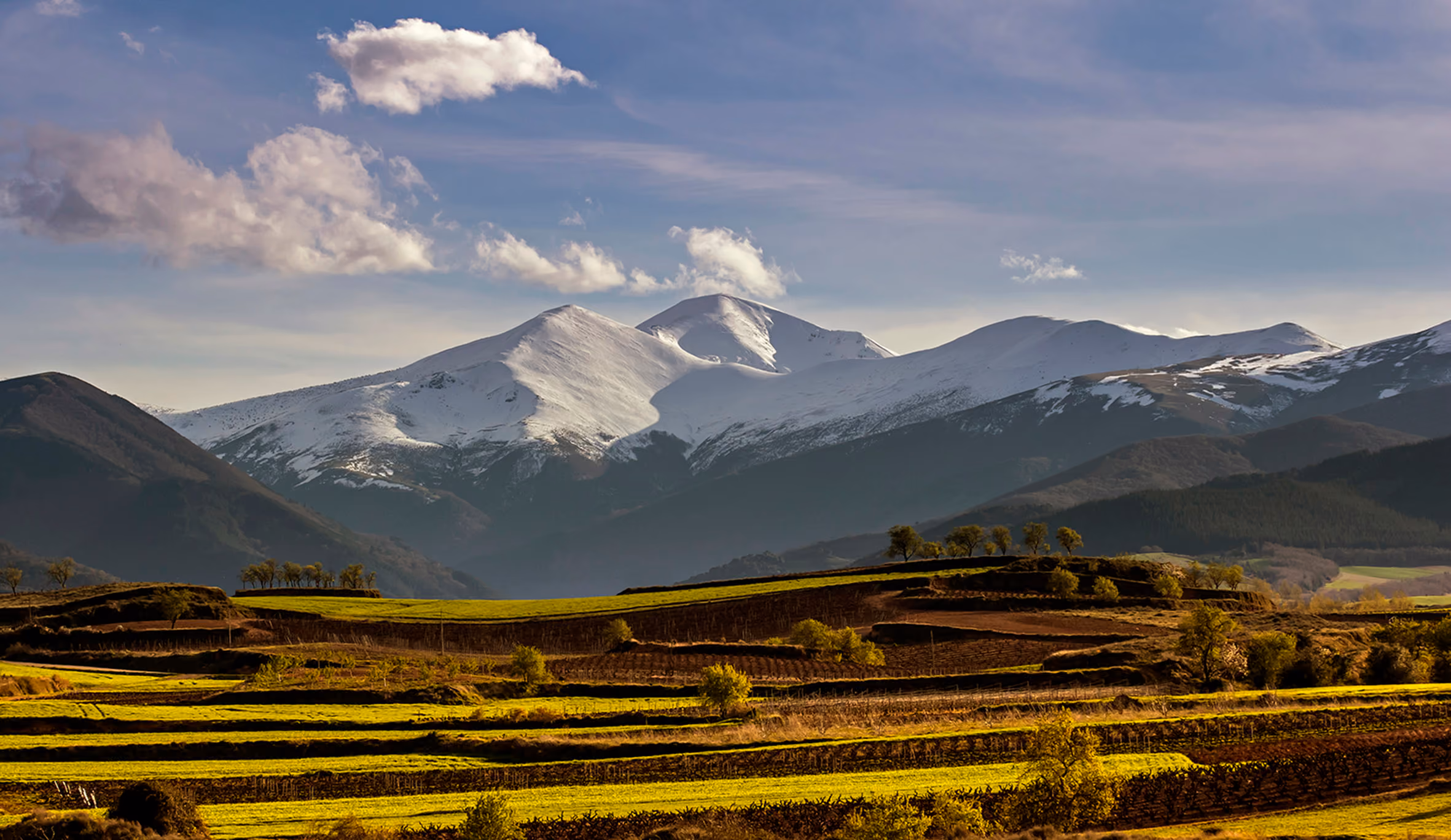 Wineries in other areas of Spain