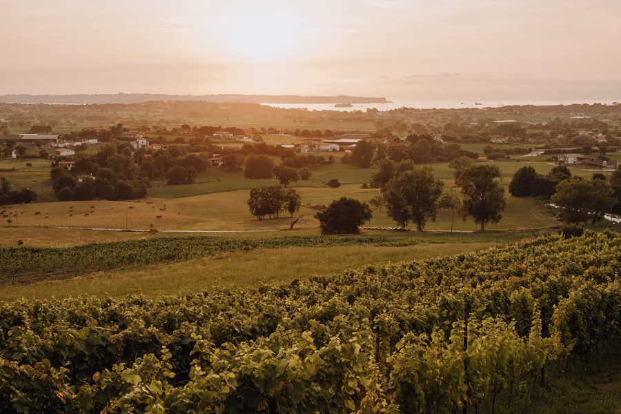 Santander Cantabria vino viñedo winetwotrip enoturismo