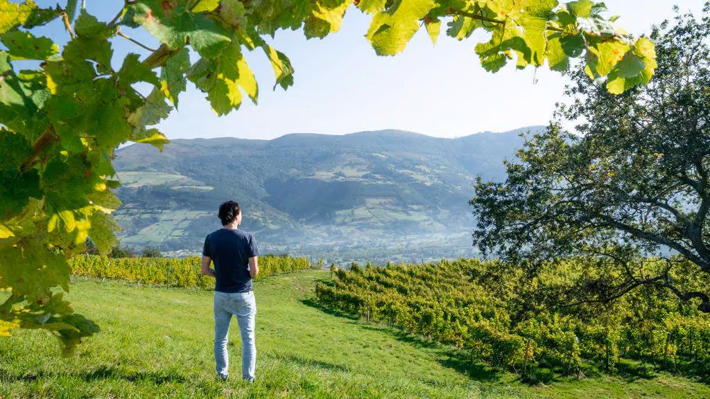 Bodegas Sel D'aiz