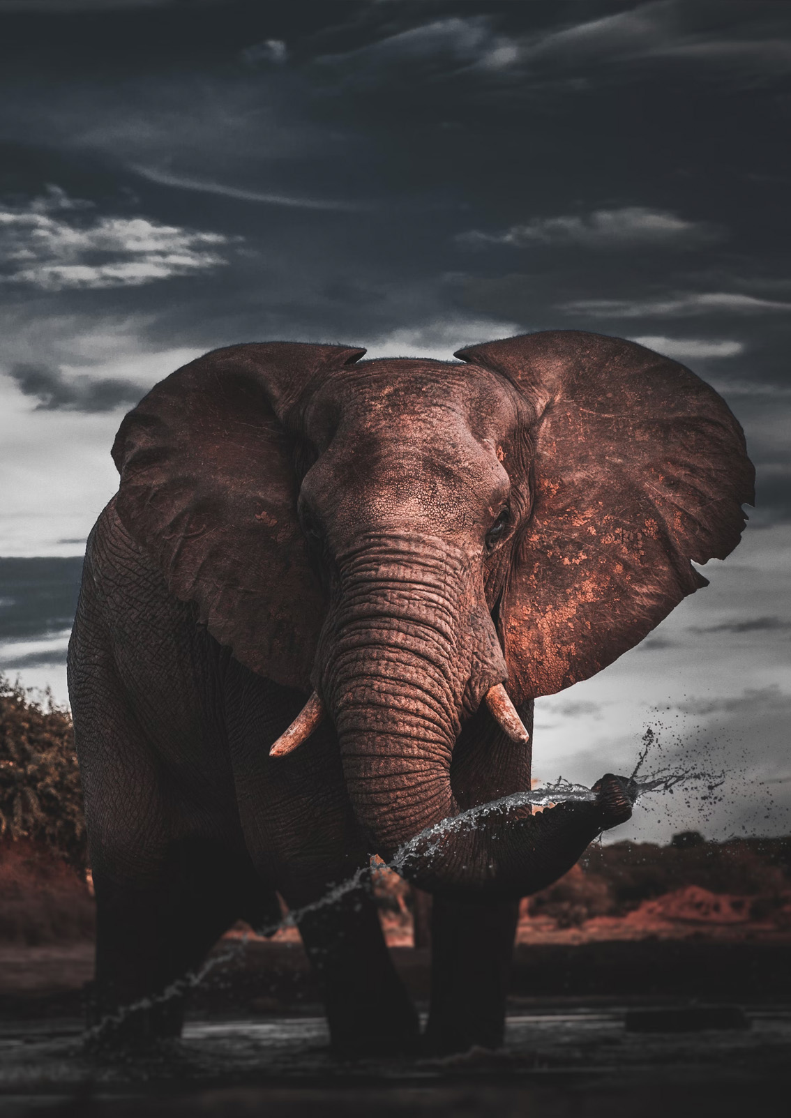 Nyerere National Park formerly known as the northern part of Selous GameReserve, is one of the world's largest wildlife sanctuaries , and will leave you in awe.