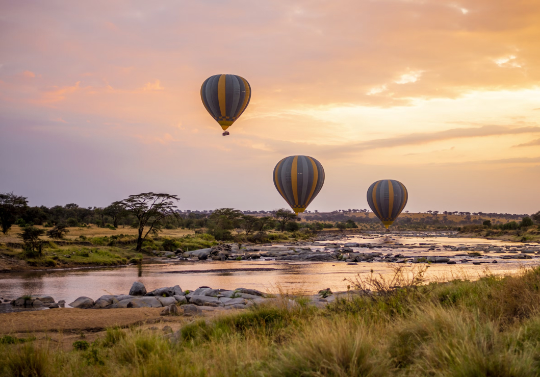 Visiting the Serengeti National Park in Tanzania, a land of untamed beauty, is a journey into the heart of one of Africa's most iconic and diverse ecosystems.