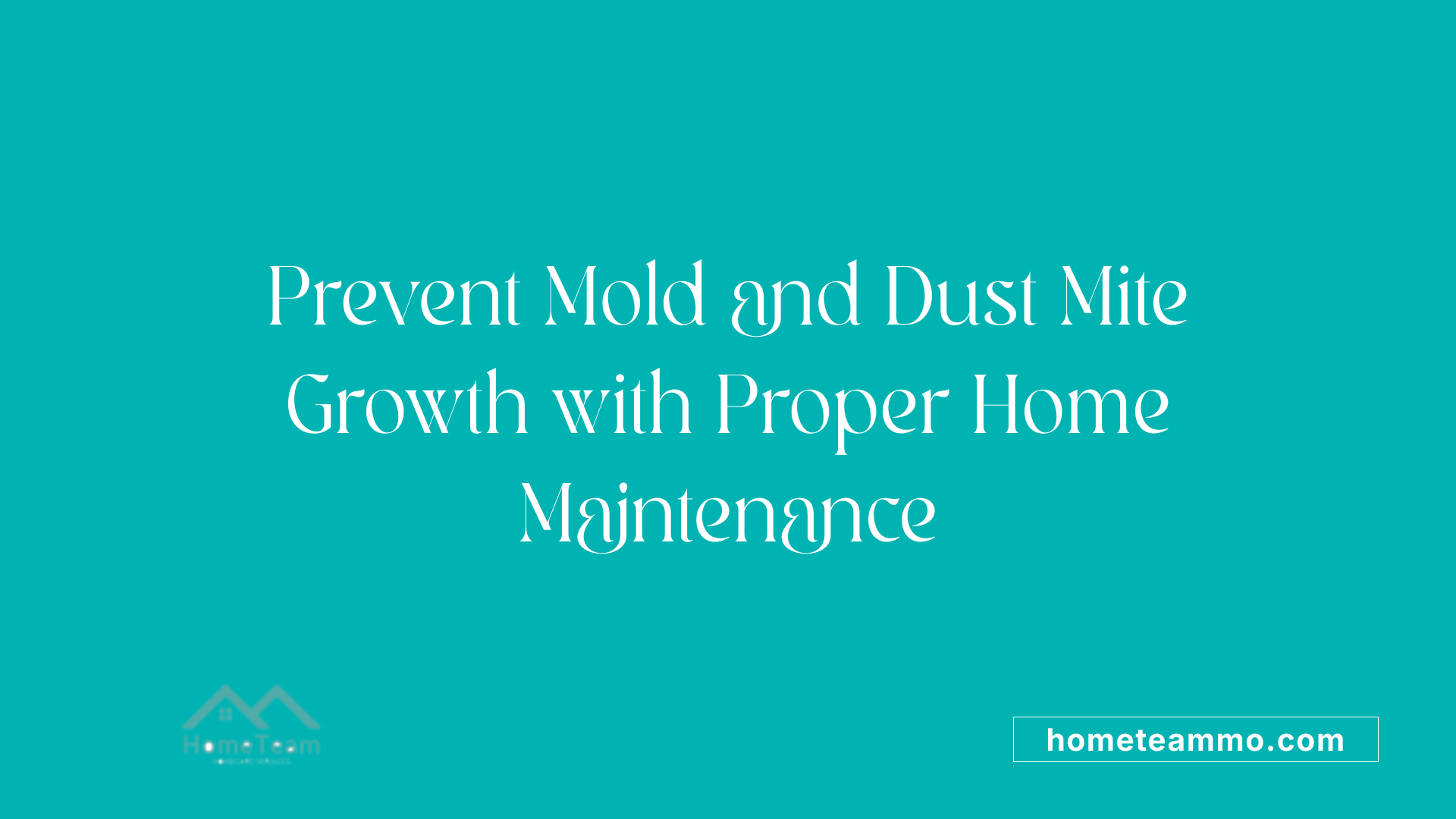 Prevent Mold and Dust Mite Growth with Proper Home Maintenance