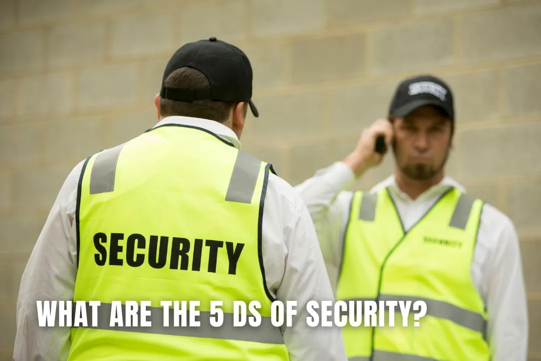 What Are The 5 Ds of Security?