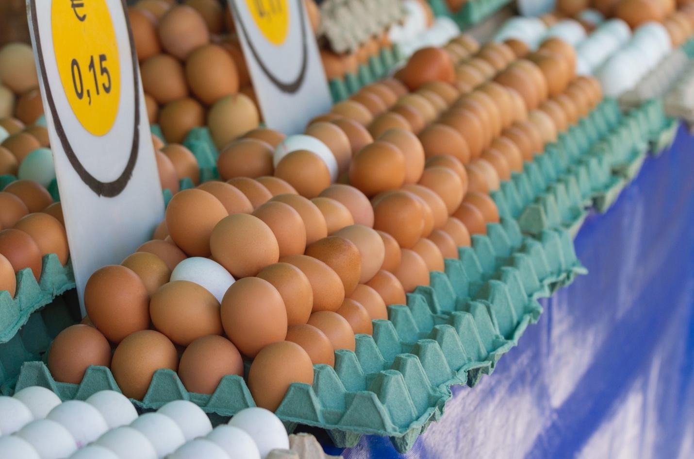 Row and stack of eggs on a tray