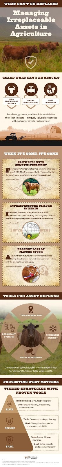 Managing irreplaceable assets infographic