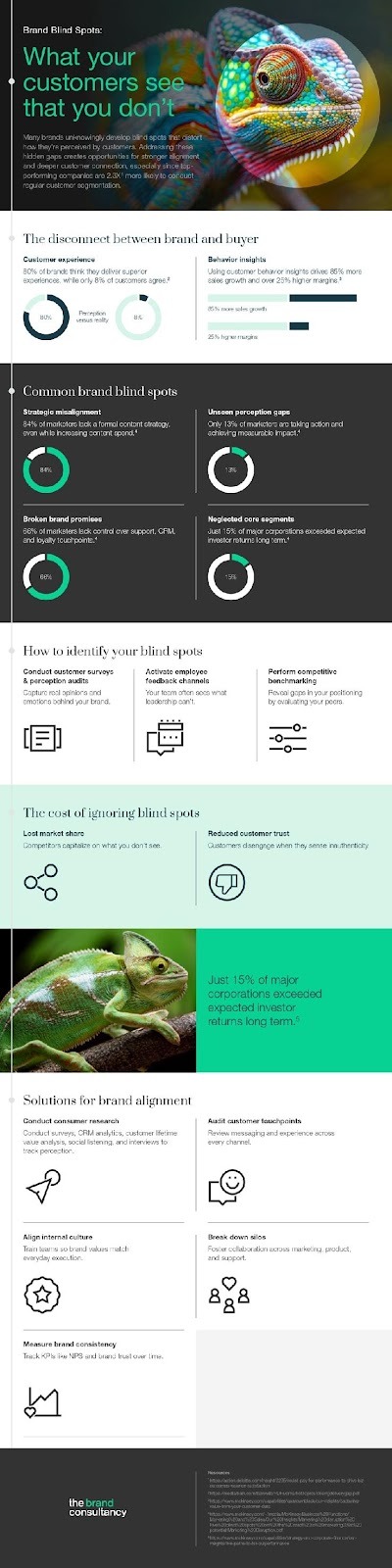 Brand blind spots infographic