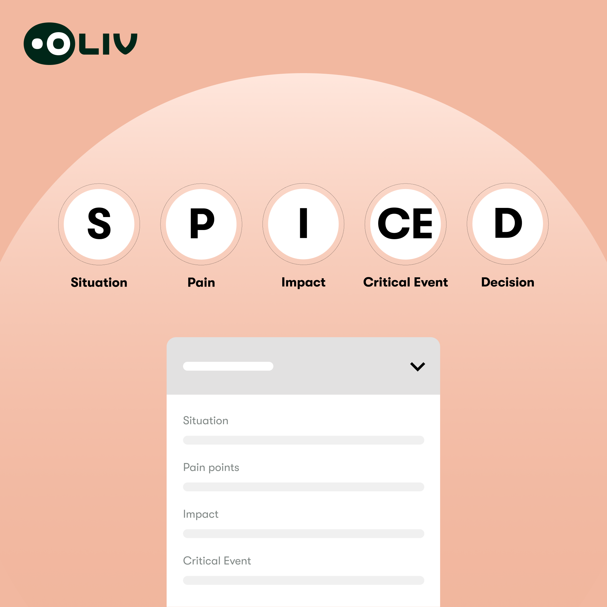 SPICED sales methodology is an alternative to Command of the Message framework