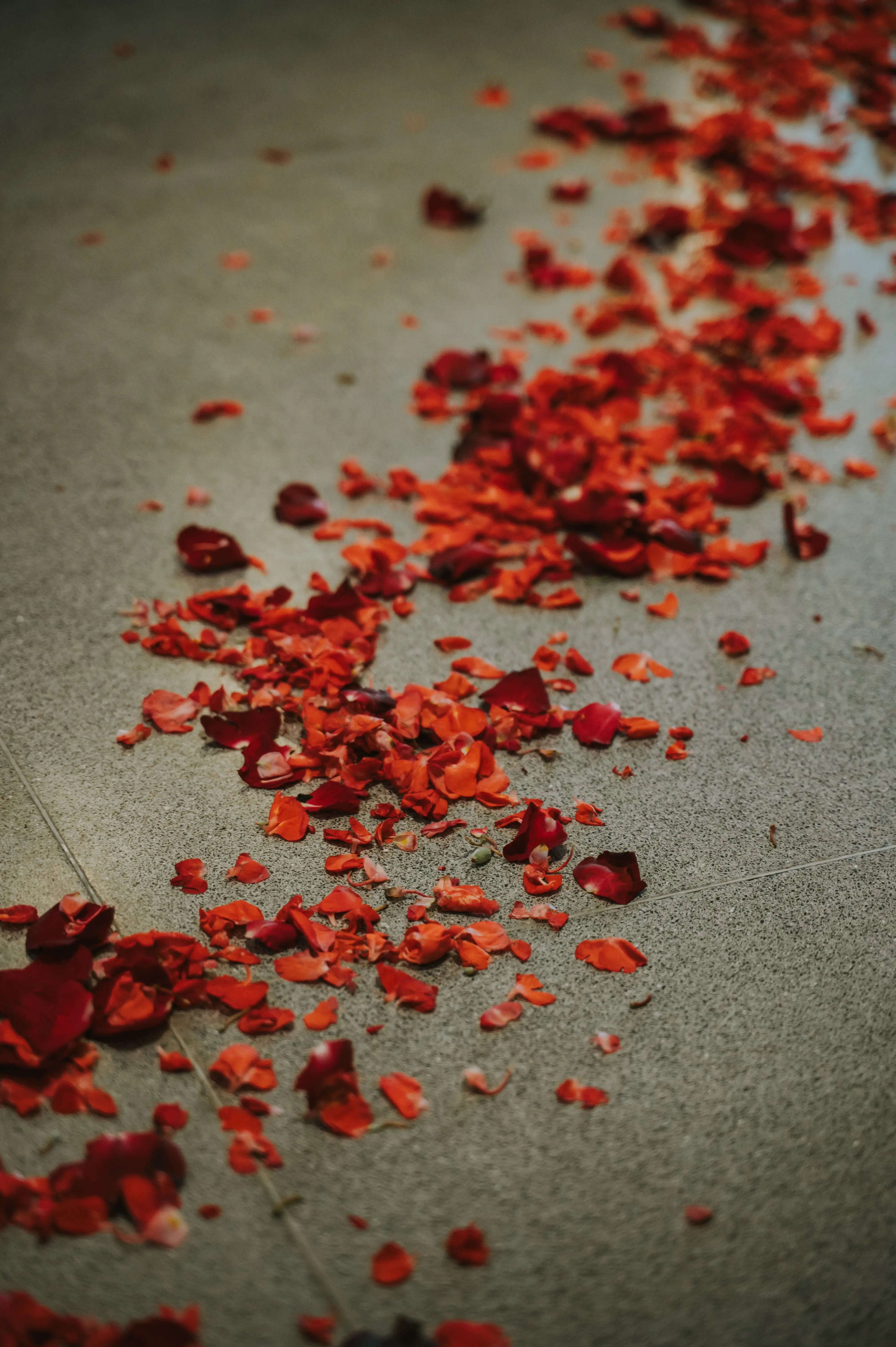 Romantic rose petals path setup for Bali surprise proposal