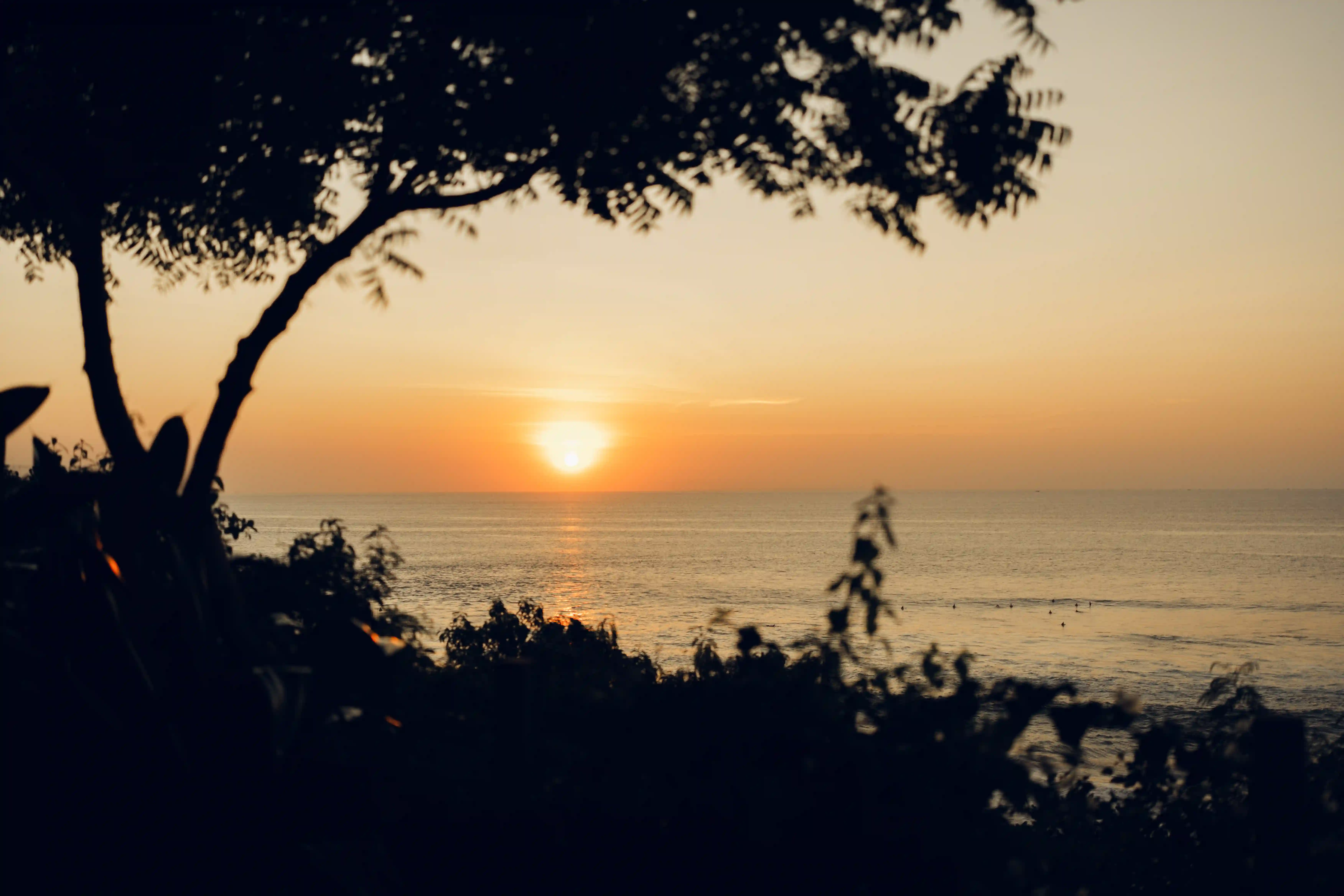 Sunset dream proposal in Bali on the cliff.