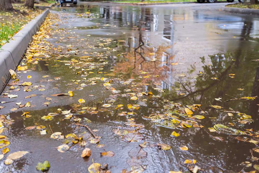 Stormwater Inspection