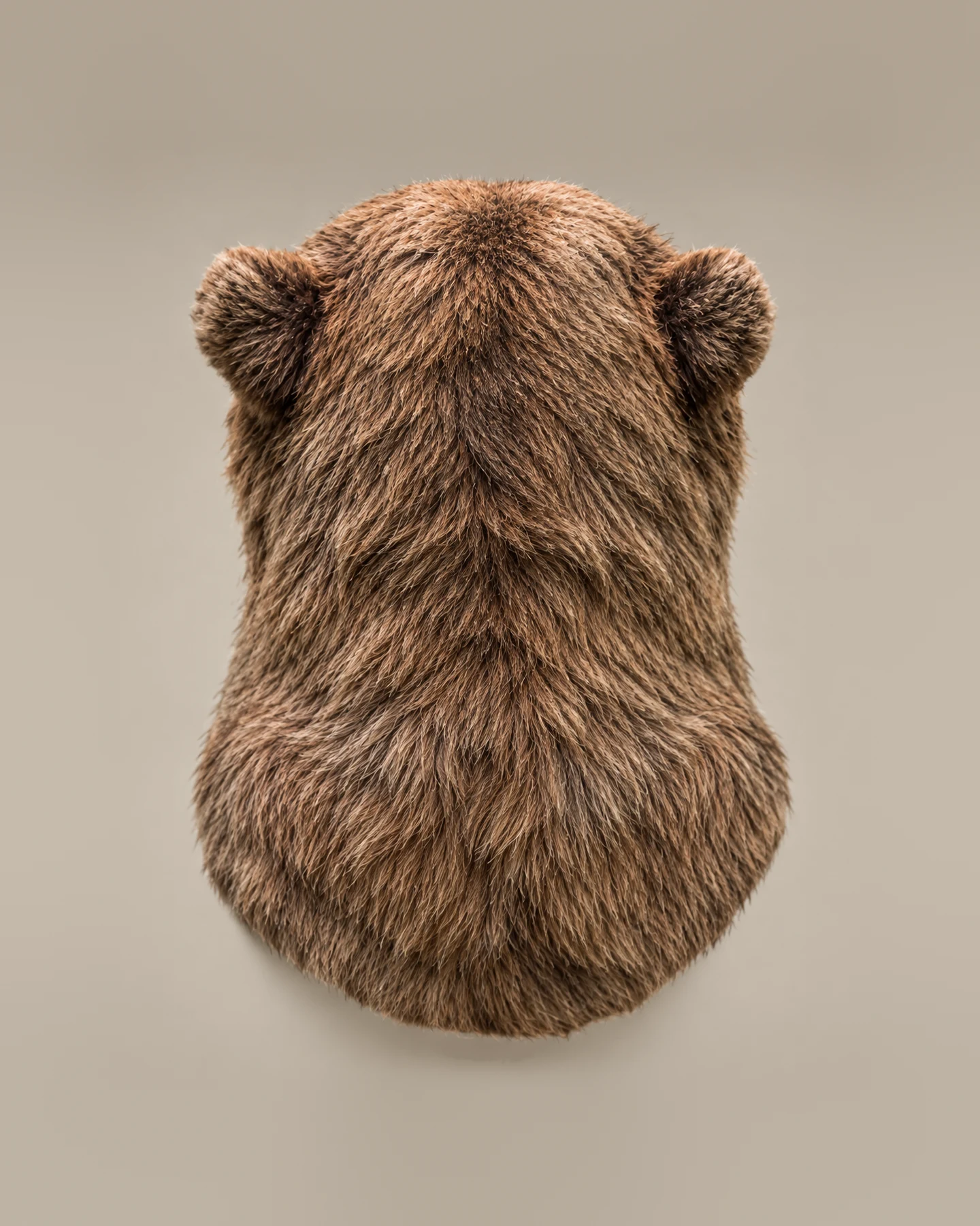 Short-faced bear head, back view, fur direction