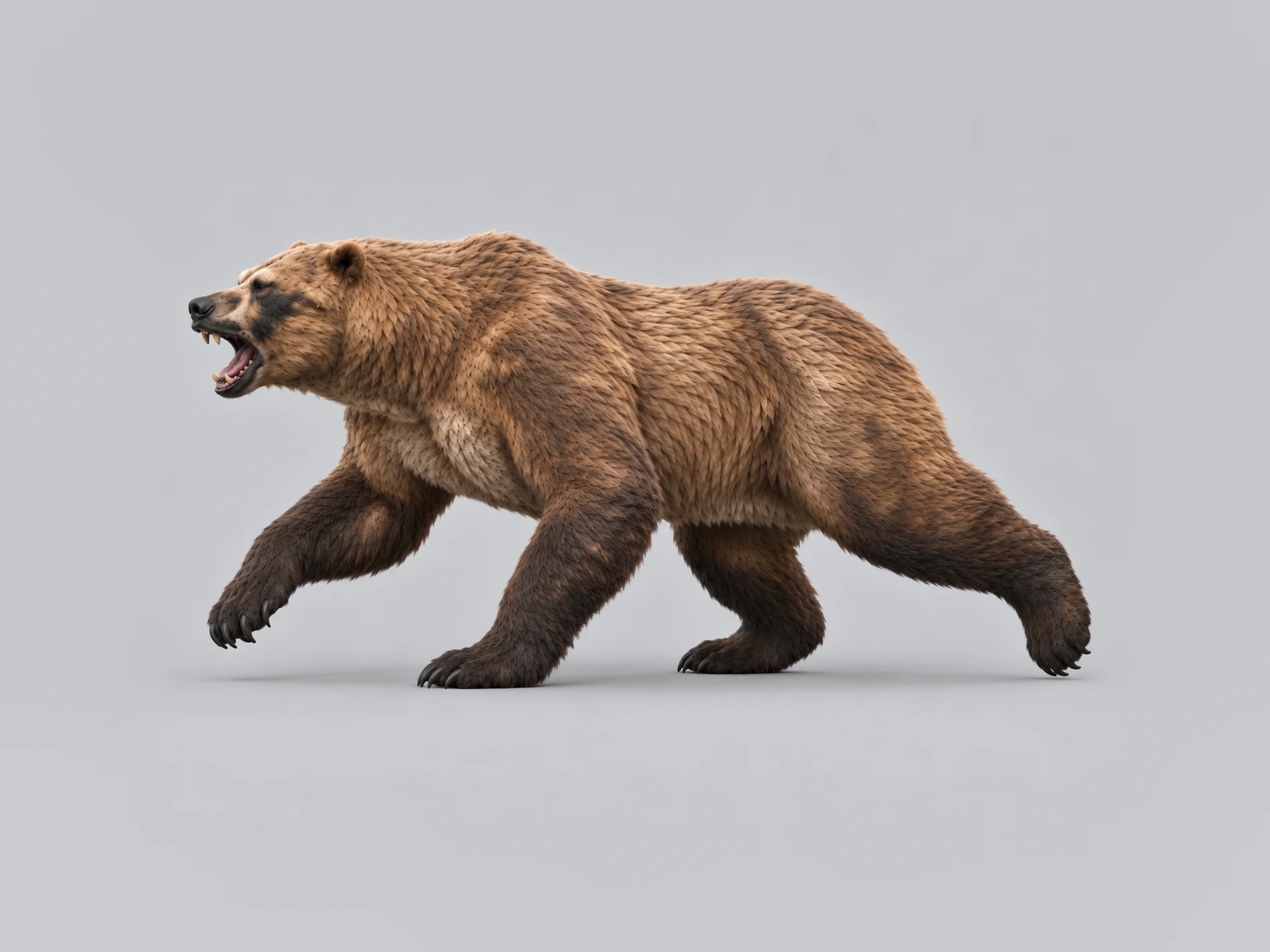 Short-faced bear puppet mid-stride, side view, jaws open