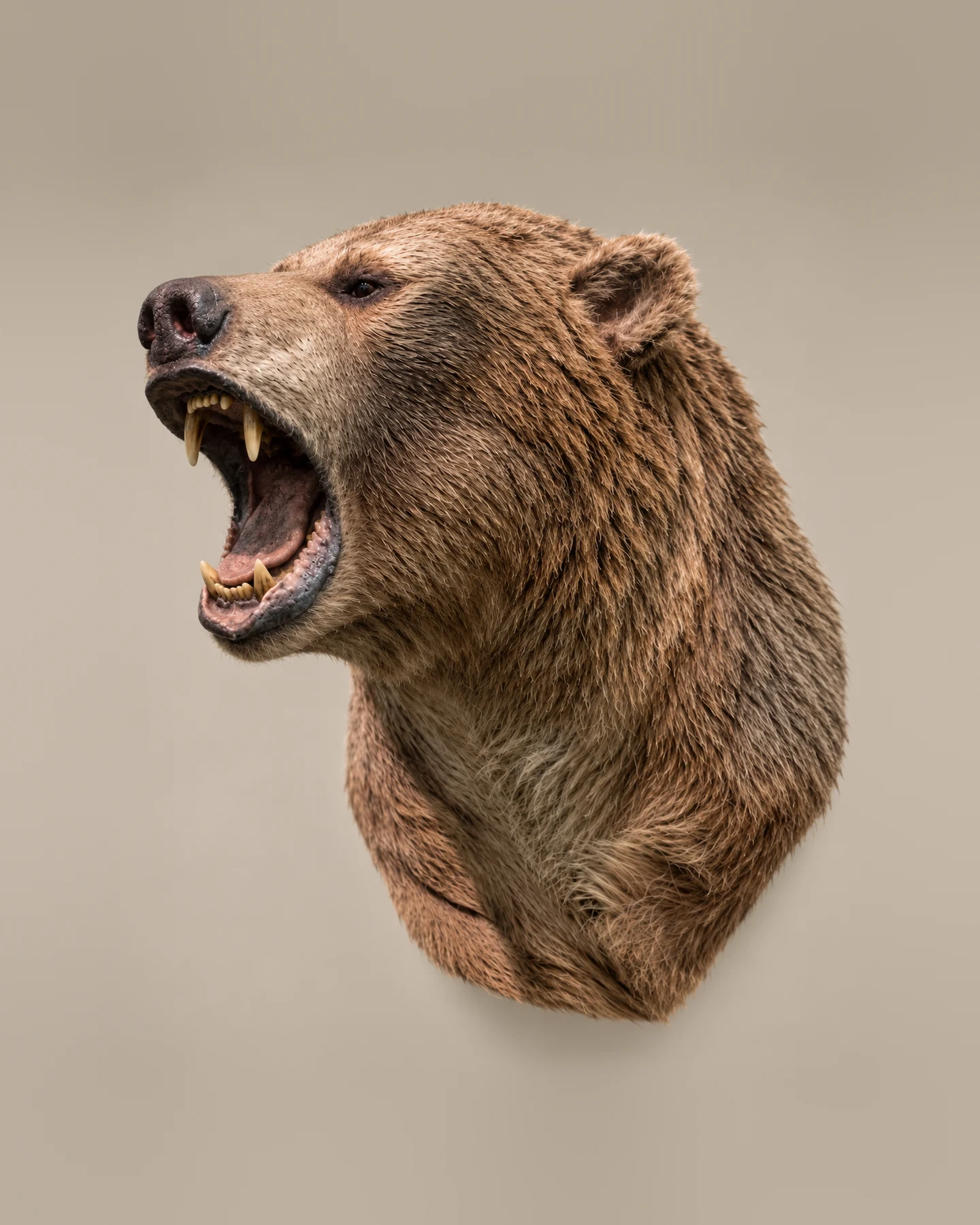 Short-faced bear head, three-quarter view, roaring