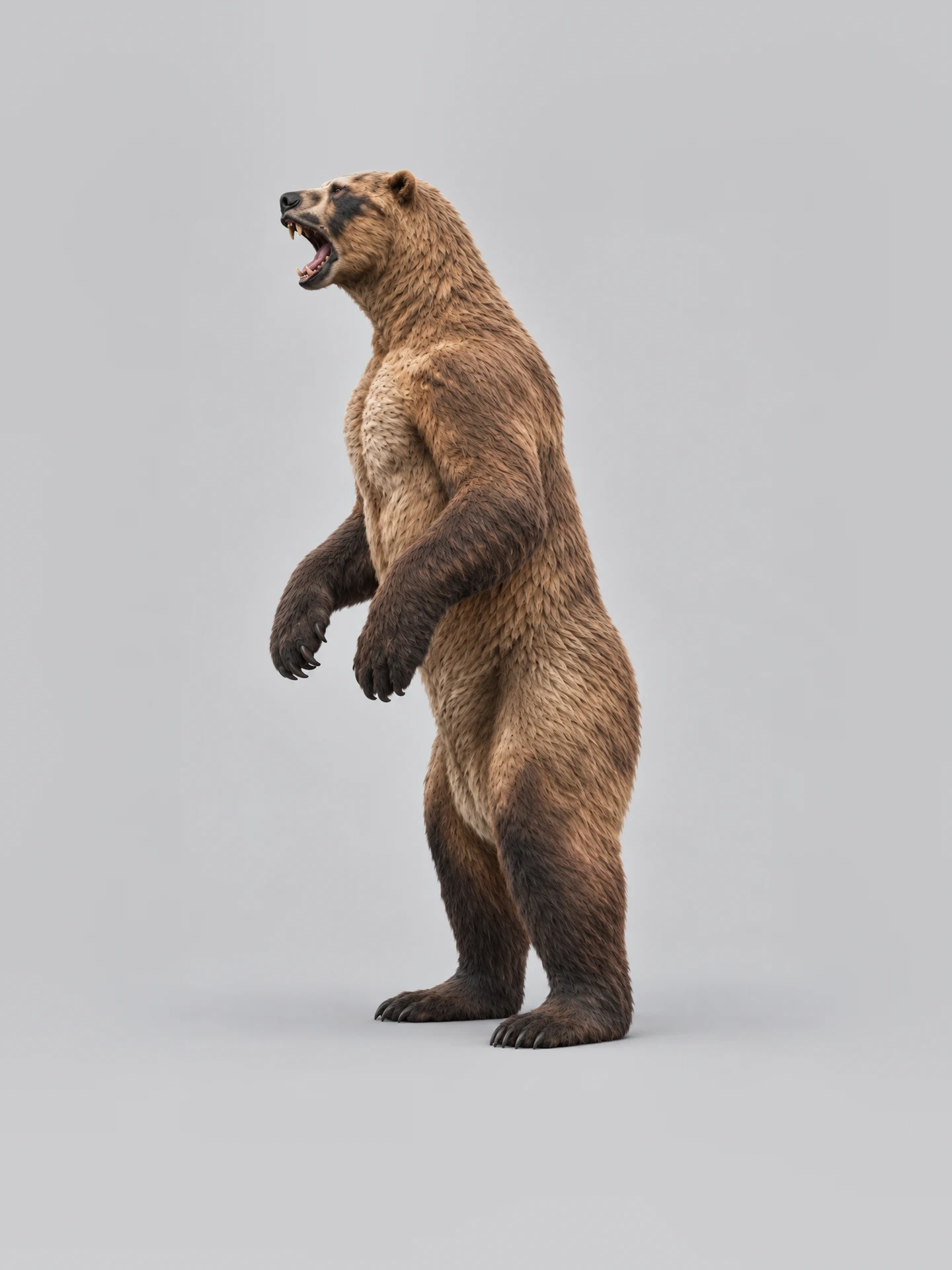 Short-faced bear puppet, side view, standing