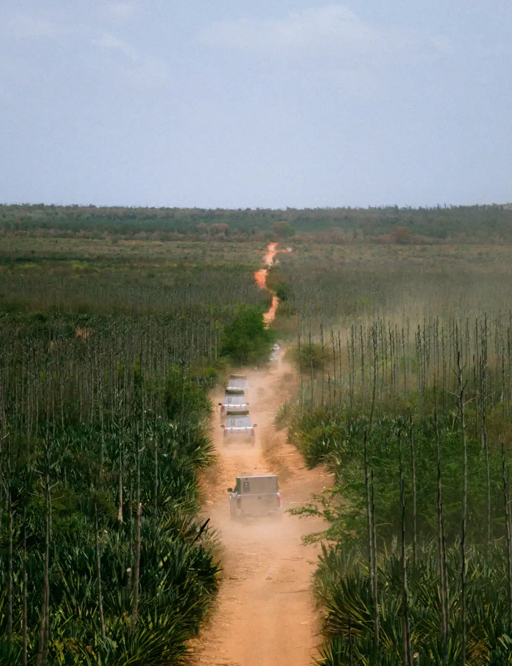 Group of car in the middle of Gobi desert