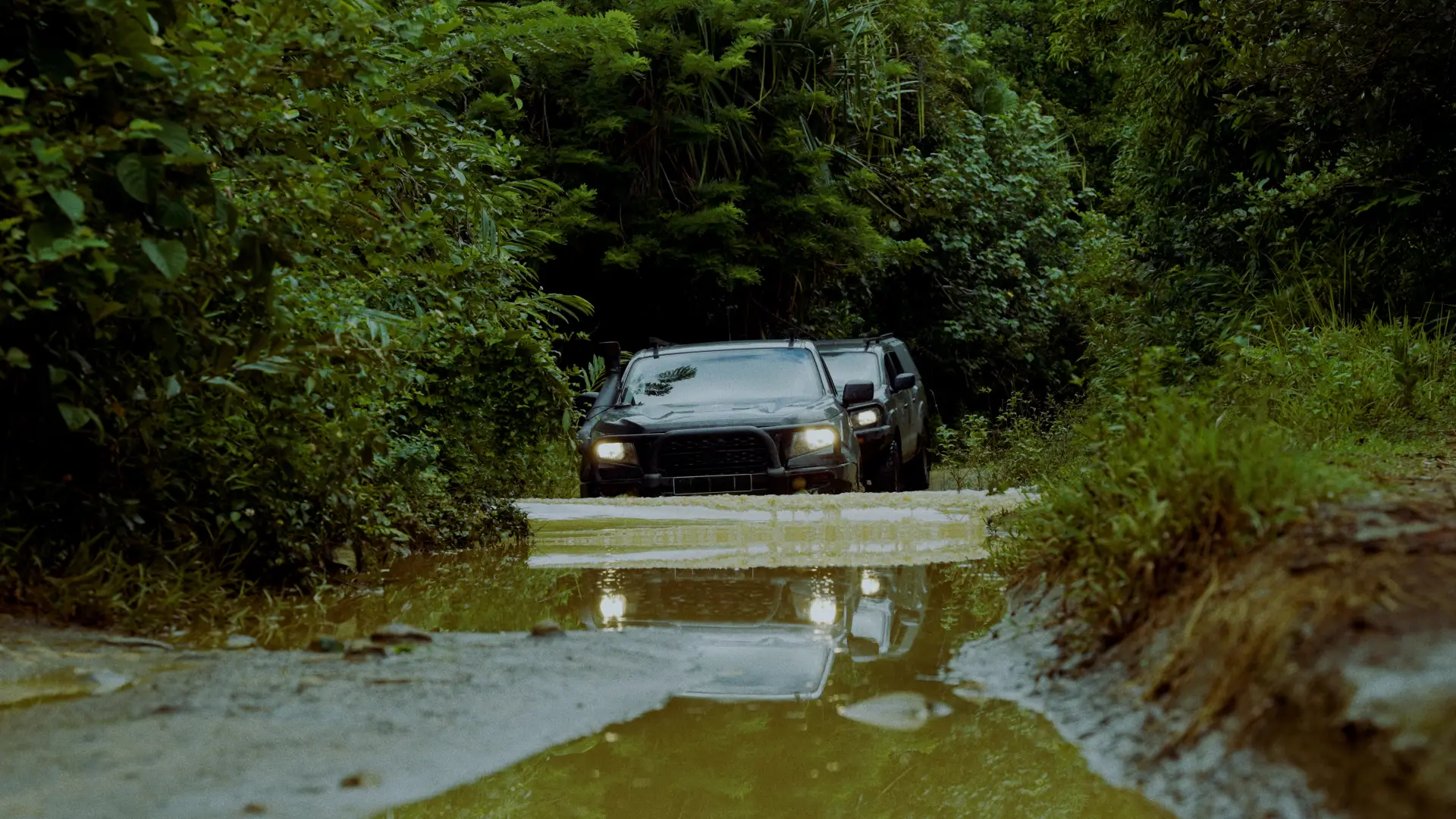 Road with cars in the middle of the jungle