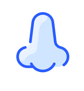 Nose icon