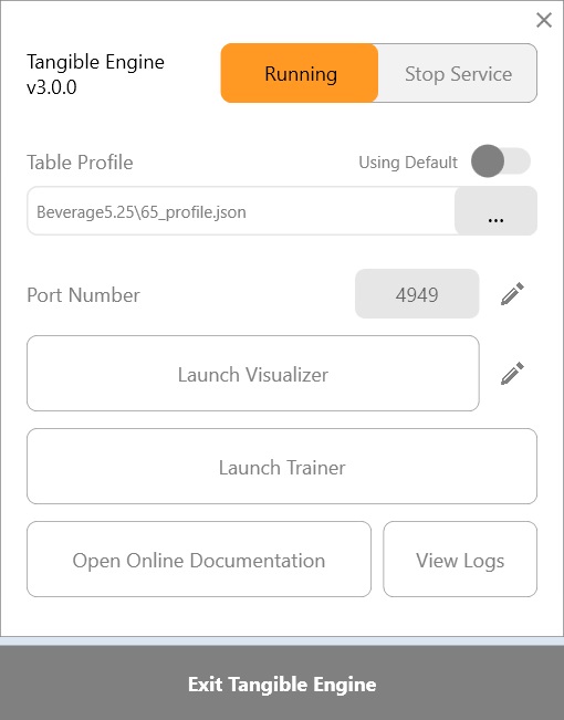 Service interface of Tangible Engine software. 
