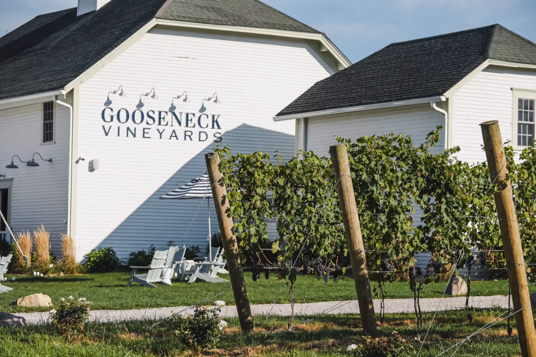 RI Real Producers Summer Soiree' Gooseneck Vineyard Event