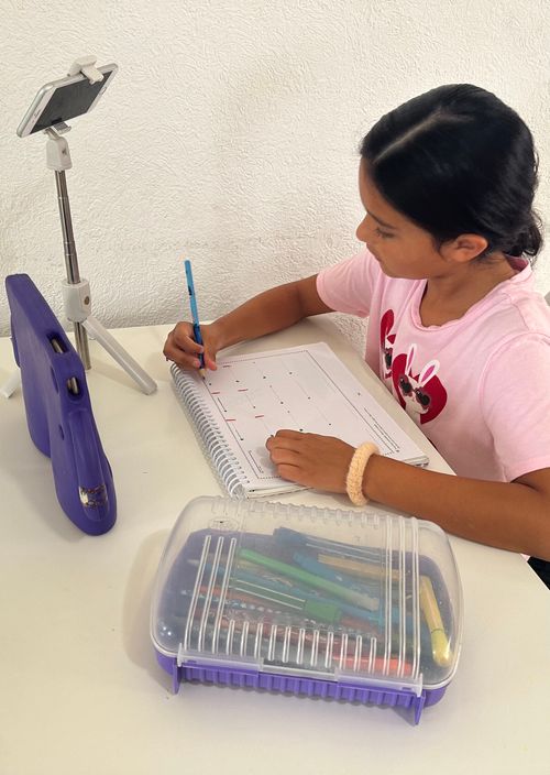 kid doing telehealth with a computer