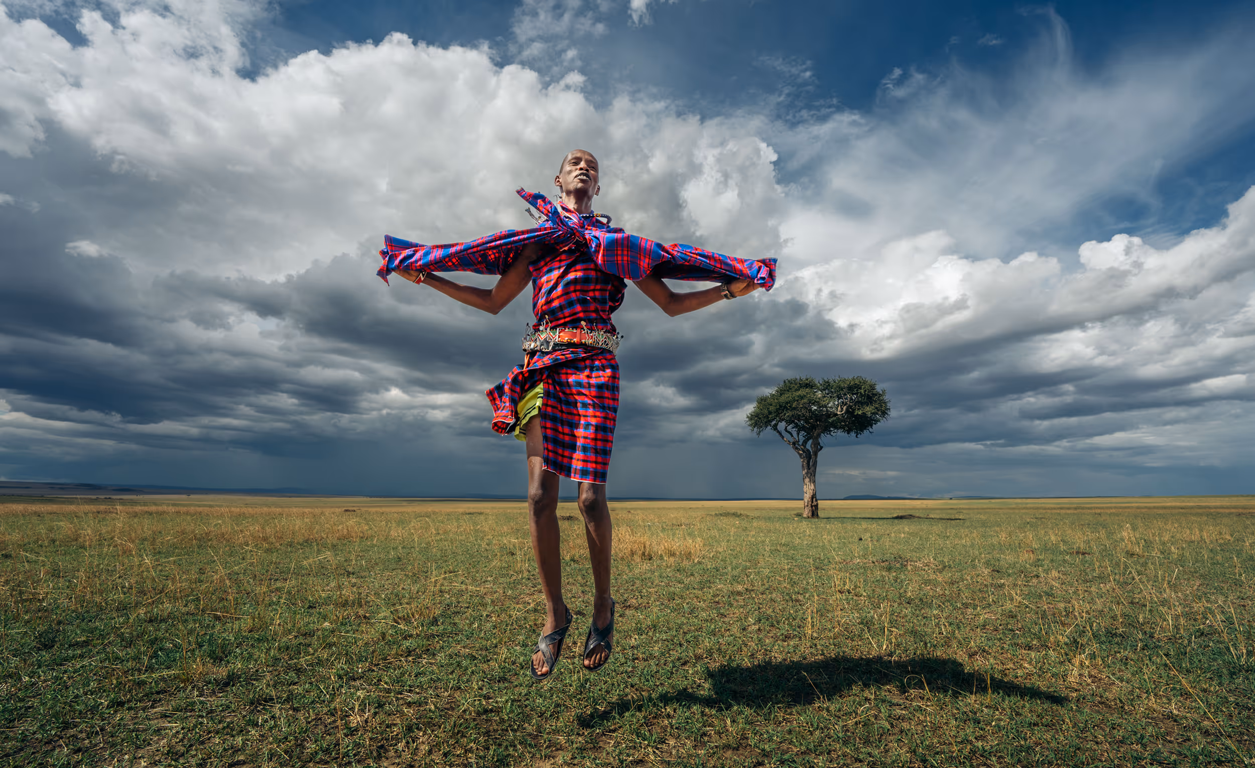A Masai warrior wearing a bright red traditional costume jumping in the air against a flowered field in the Masai Mara in Kenya. A single tree is in the background. 