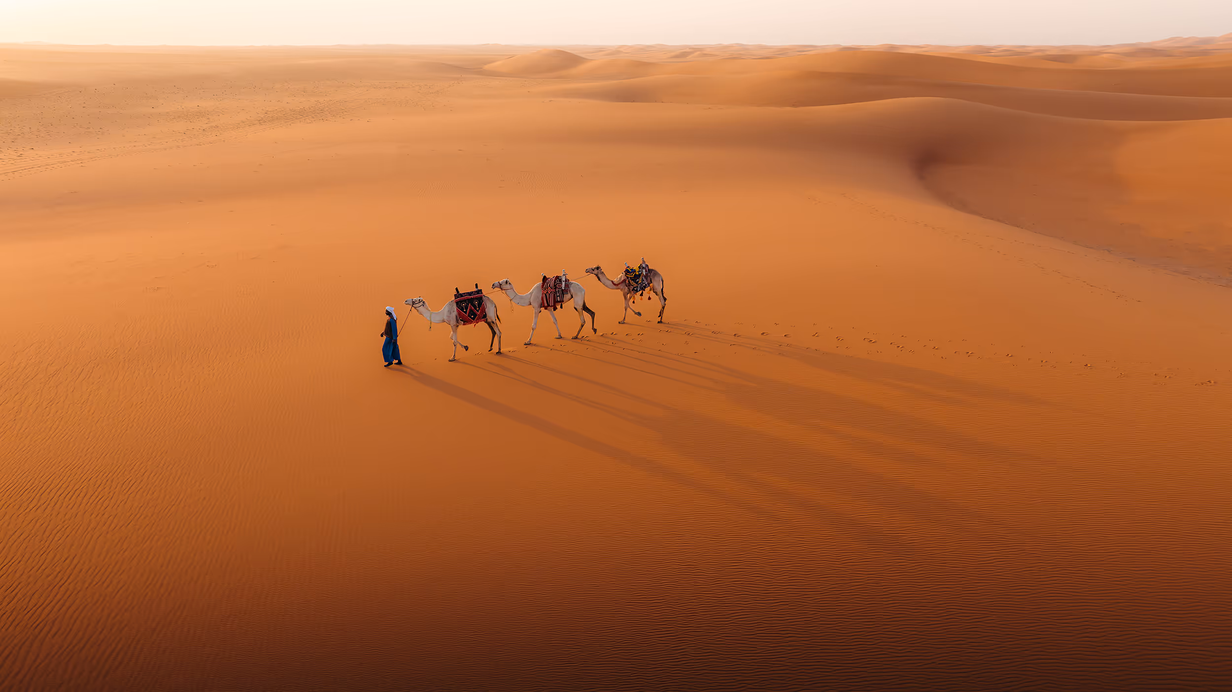 A picture of a man leading 3 camels across a sand dune at sunrise, with their shadows stretching across the frame. 