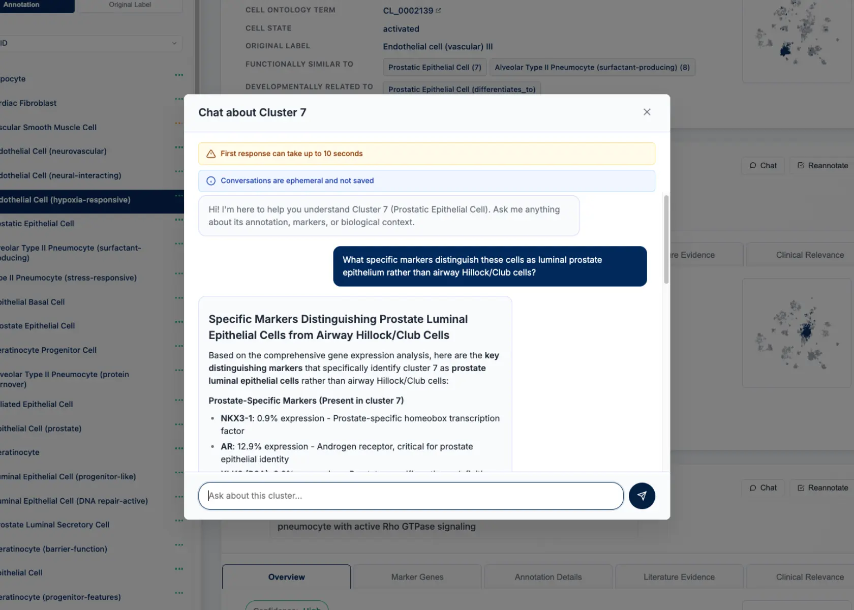 CyteType provides a chat interface to query each scRNA-seq cluster annotation with a chat agent