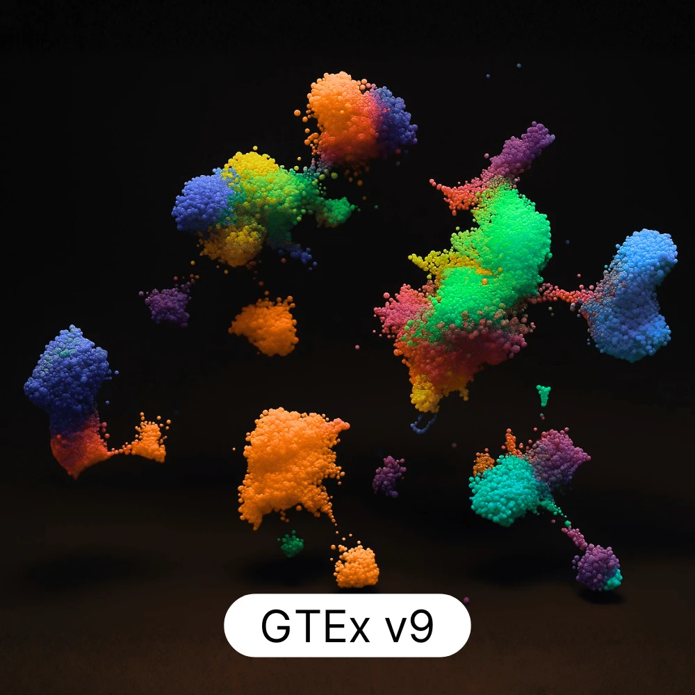 GTEX v9 Re-annotated wit CyteType. CyteType is an agentic AI scRNA-seq derived cluster annotation tool.