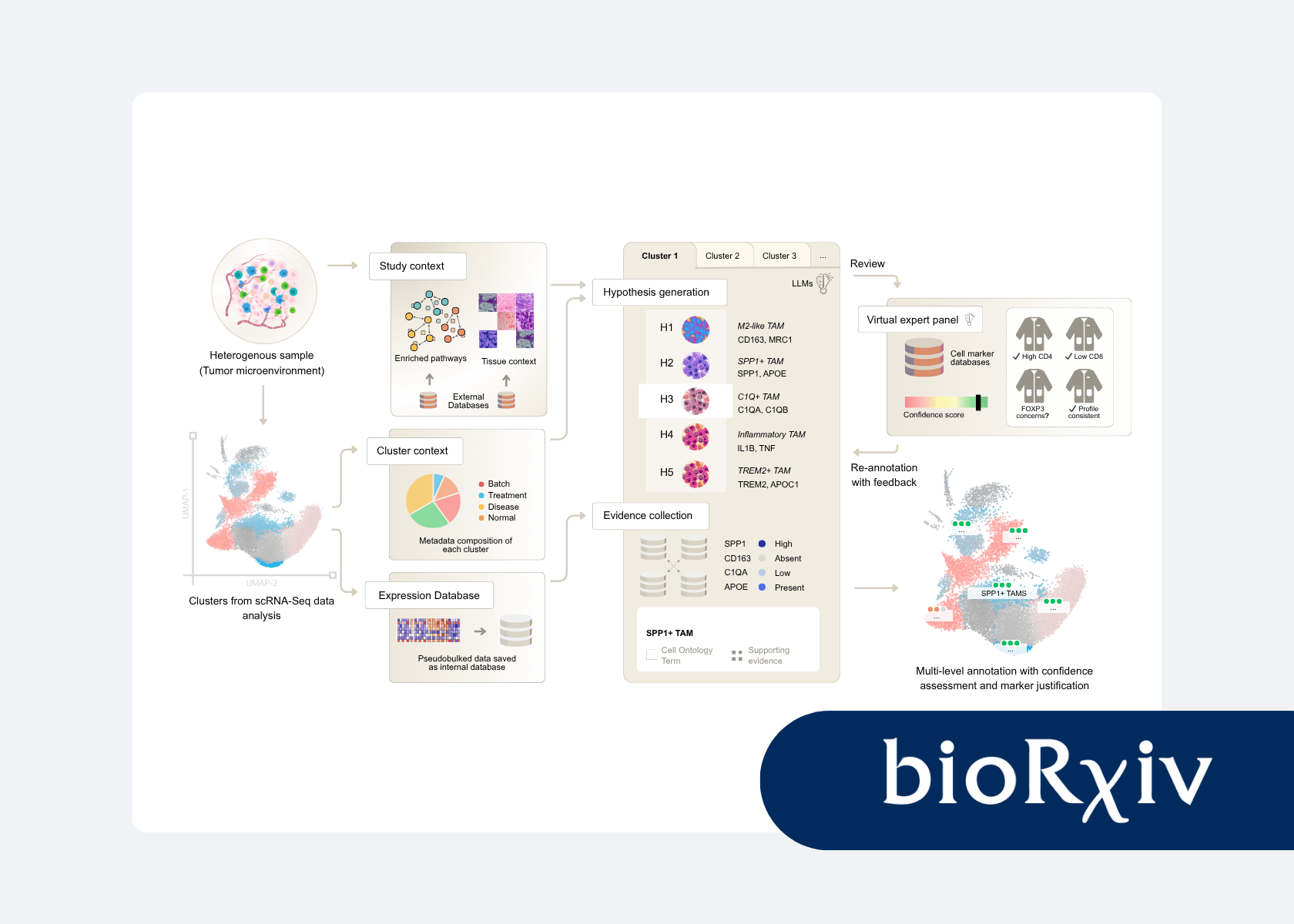 CyteType is a Multi-agent AI enables evidence-based cell annotation in single-cell transcriptomics
