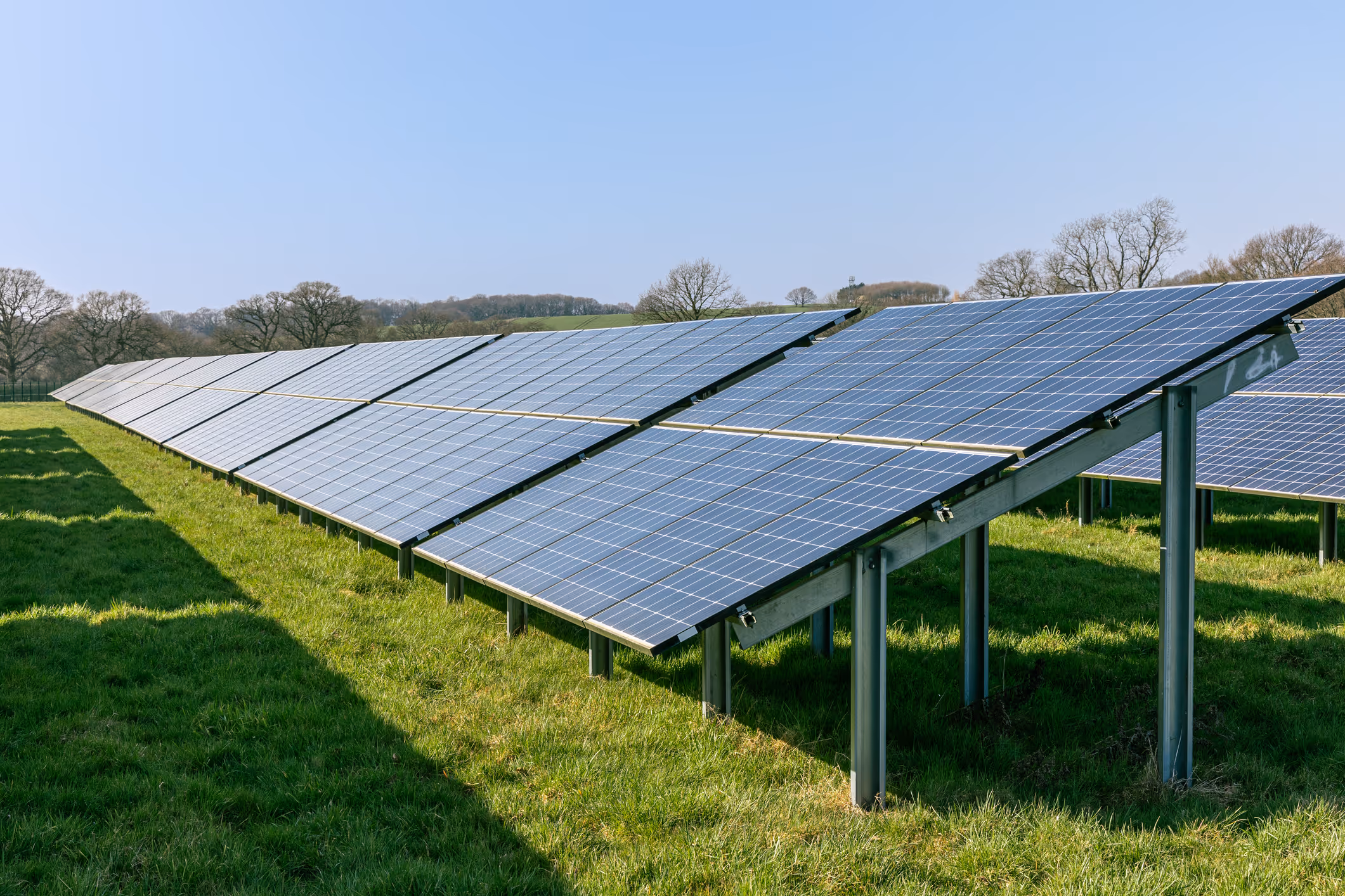 Solar panels in a field. 