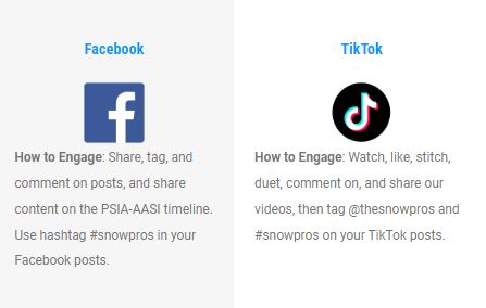 Social Media Icons