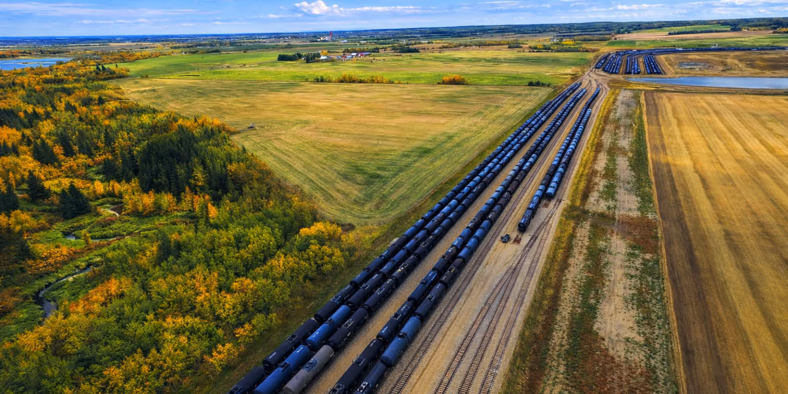 Aerial view of multiple long freight trains parked on parallel tracks beside green and yellow fields with scattered trees under a blue sky.