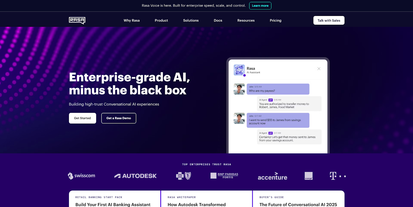 Rasa Testing Suite