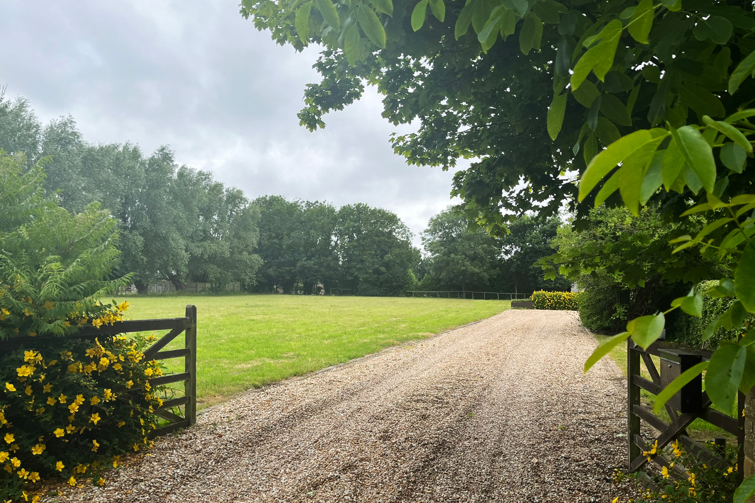 New Project - Filberts Field