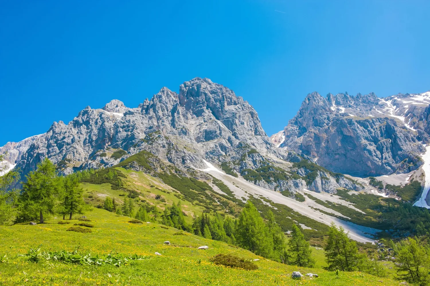 Berglandschap met groene alpenweide en heldere blauwe lucht.