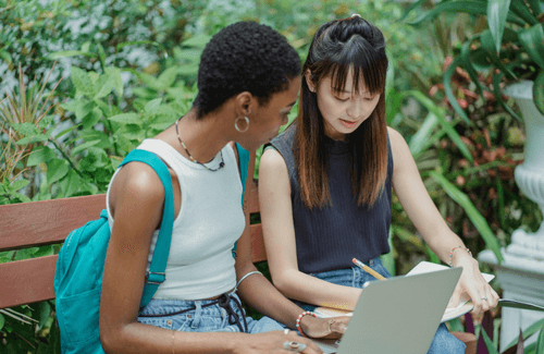 Two students studying together