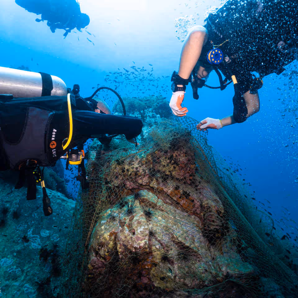 Scuba divers on a clean up dive removing a fishing net