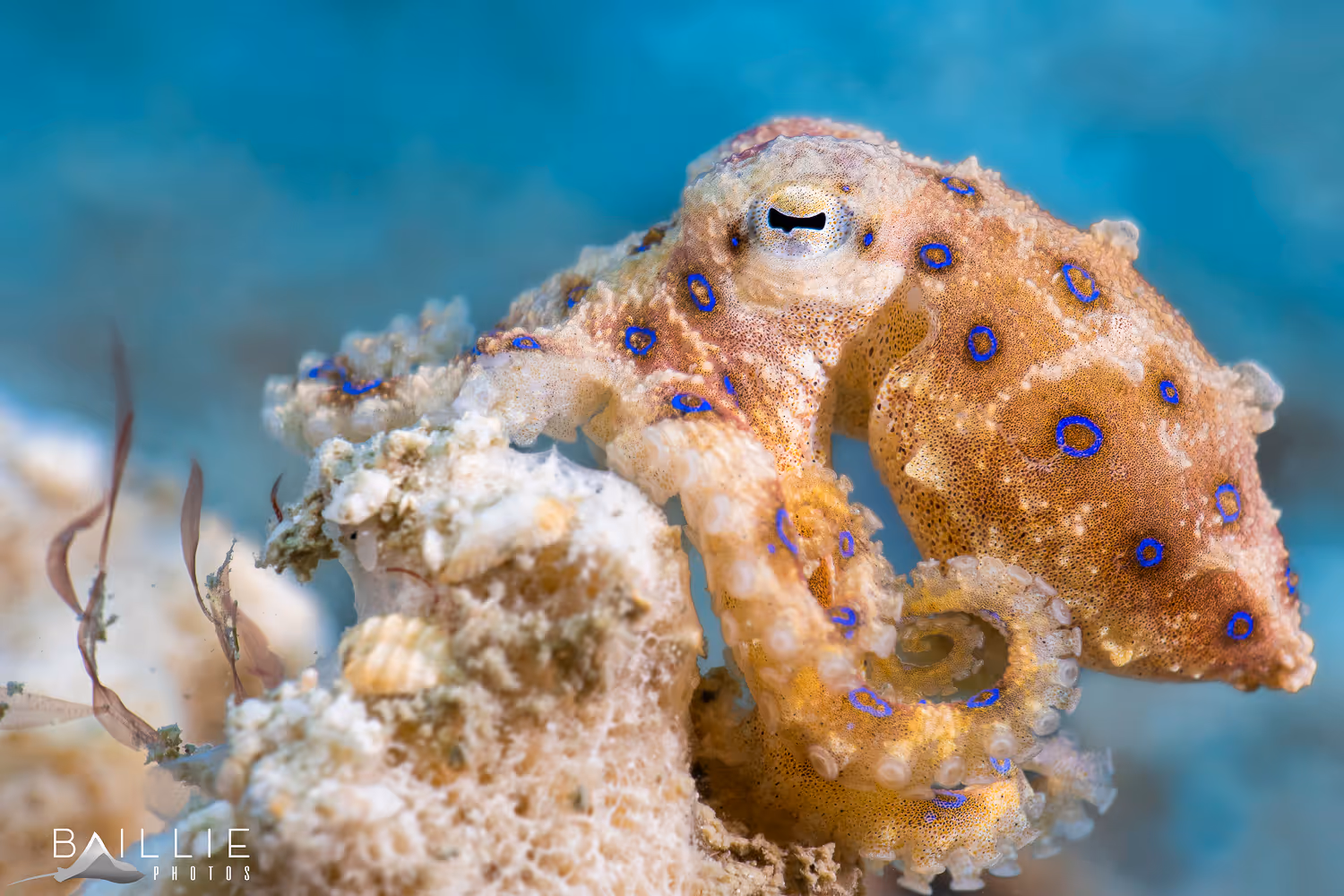 DSC07411 Edit Edit 2