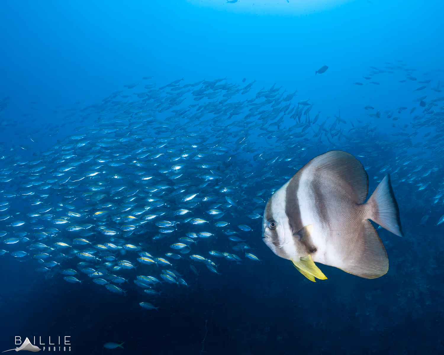 DSC04814 Edit Edit 2 2