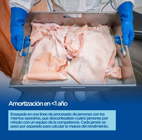 Guardian — Amortización en <1 año