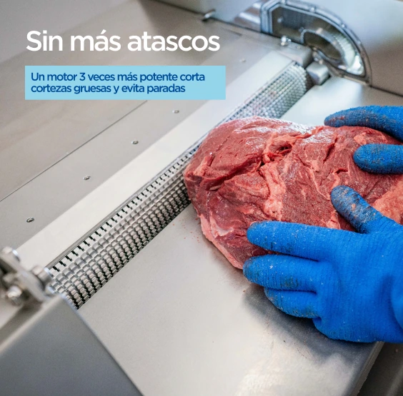 Guardian — Sin más atascos