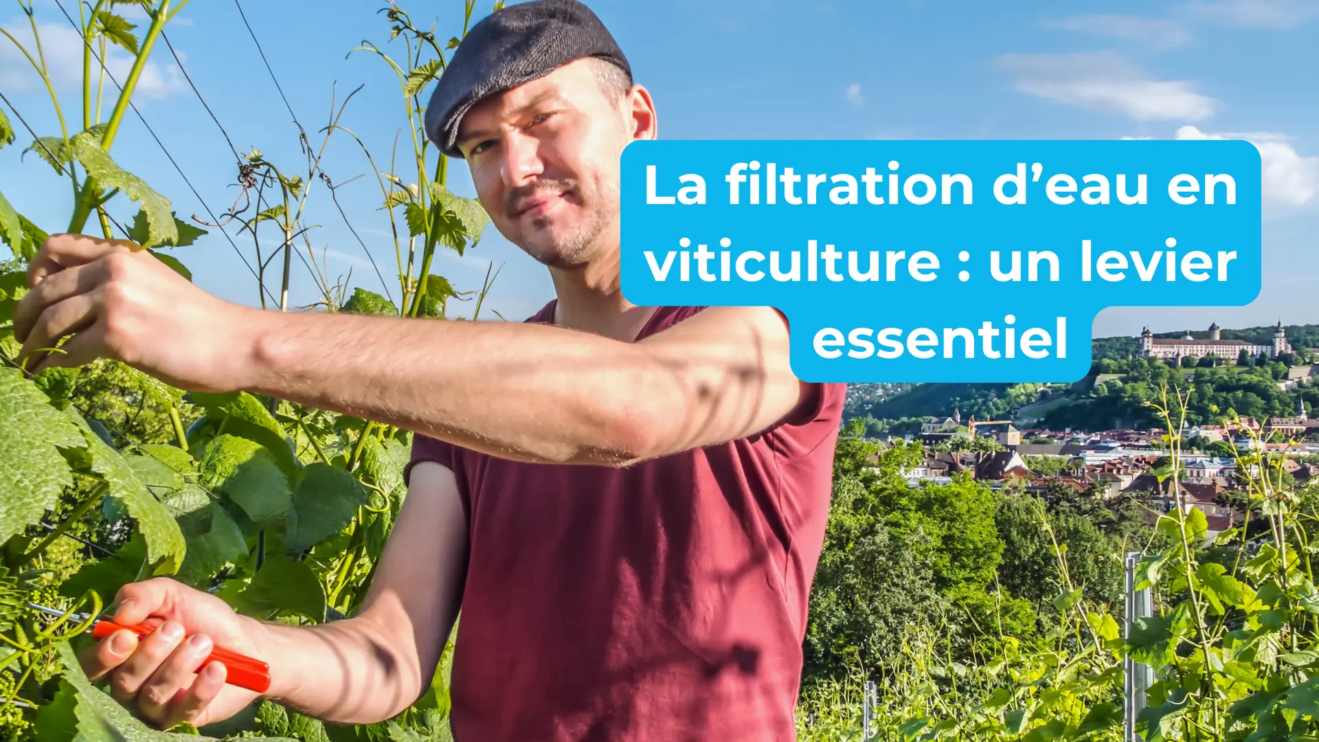 Tout savoir sur la filtration de l’eau en viticulture : impact sur la vigne, le sol et la qualité du vin