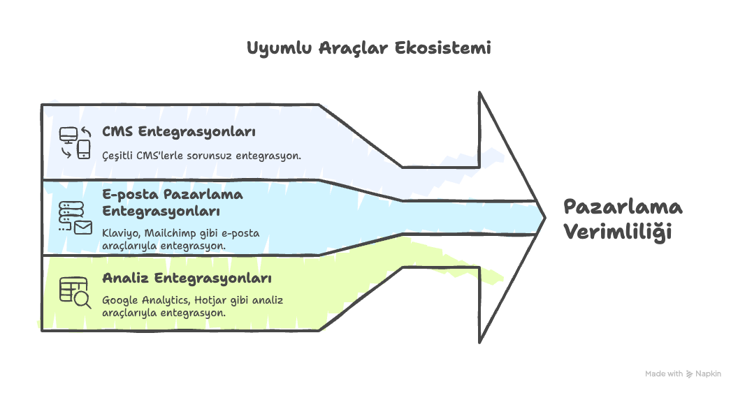 Pazarlama verimliliğini artıran araçların entegre ekosistemini gösteren bir şema: CMS, e-posta pazarlaması ve analitik.