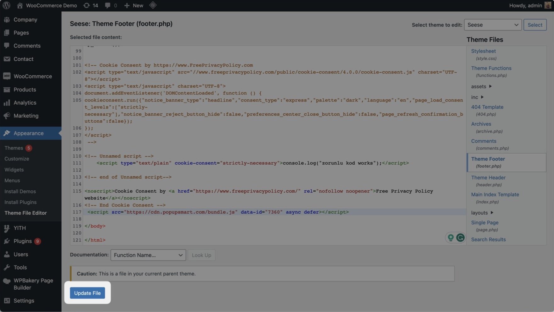 Wordpress website Admin Theme Footer section showing "Update File" button highlighted