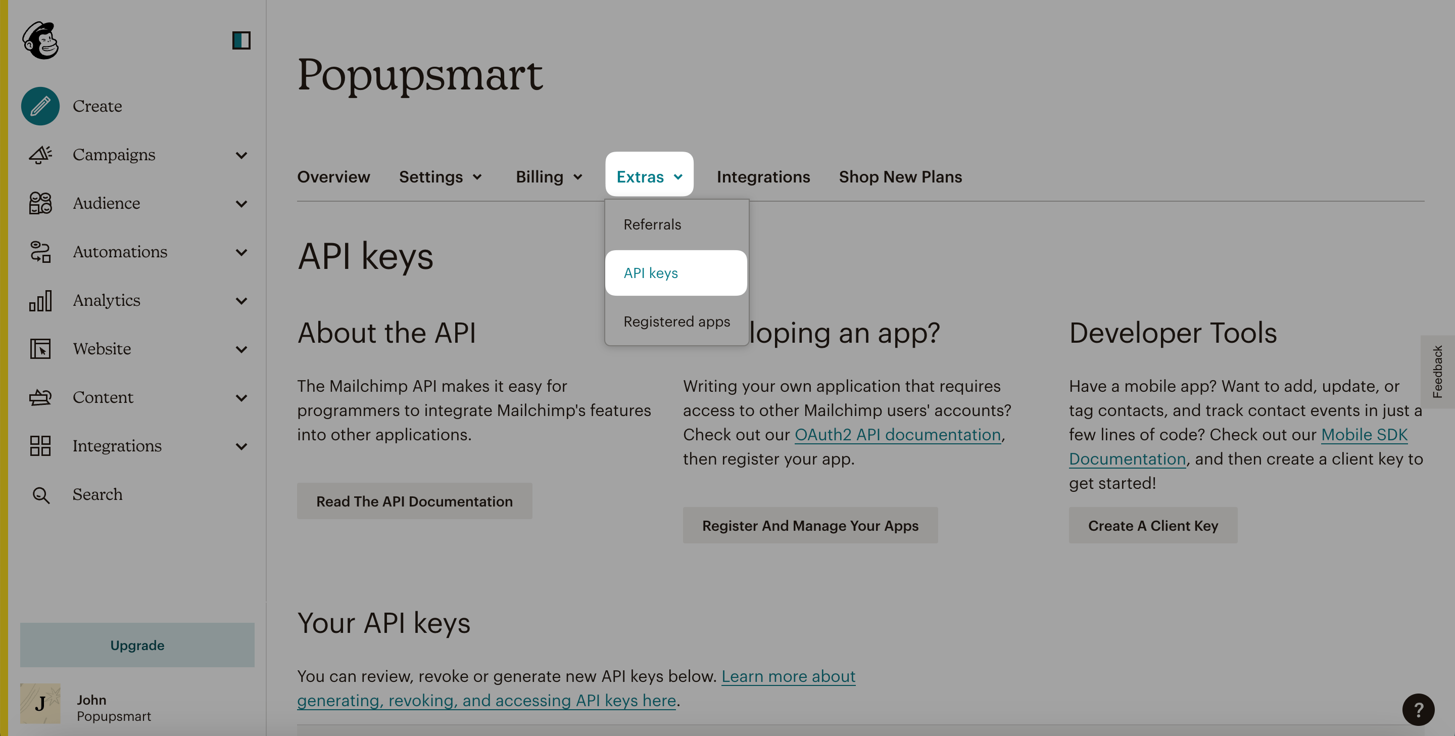 Ekstralar API Anahtarı Mailchimp