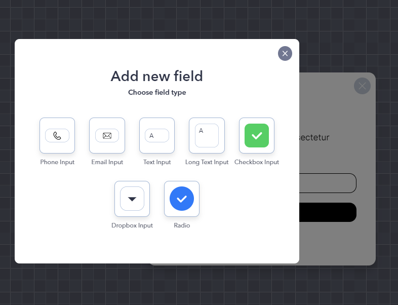 popup form field options