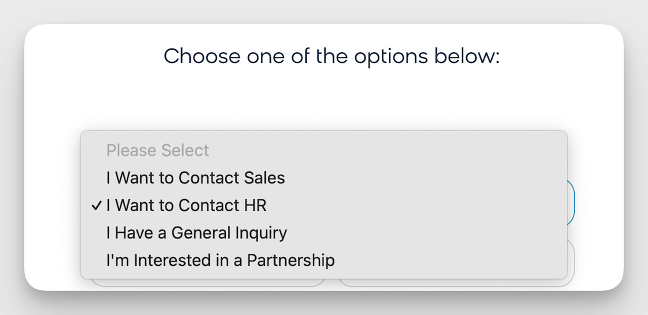 Bloomreach Contact Form Example Dropdown