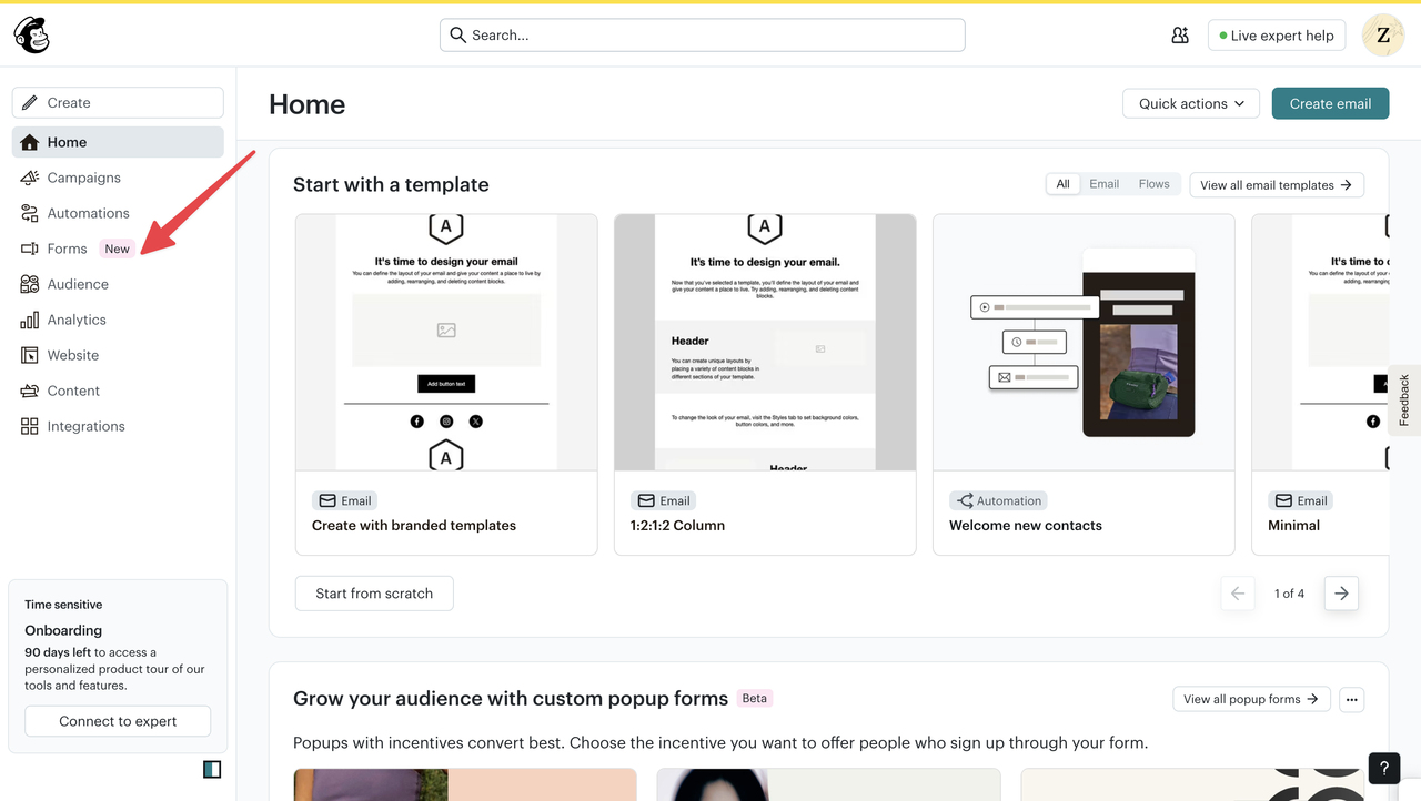 Mailchimp dashboard showing the Audience section with the Forms option highlighted before creating a popup signup form.