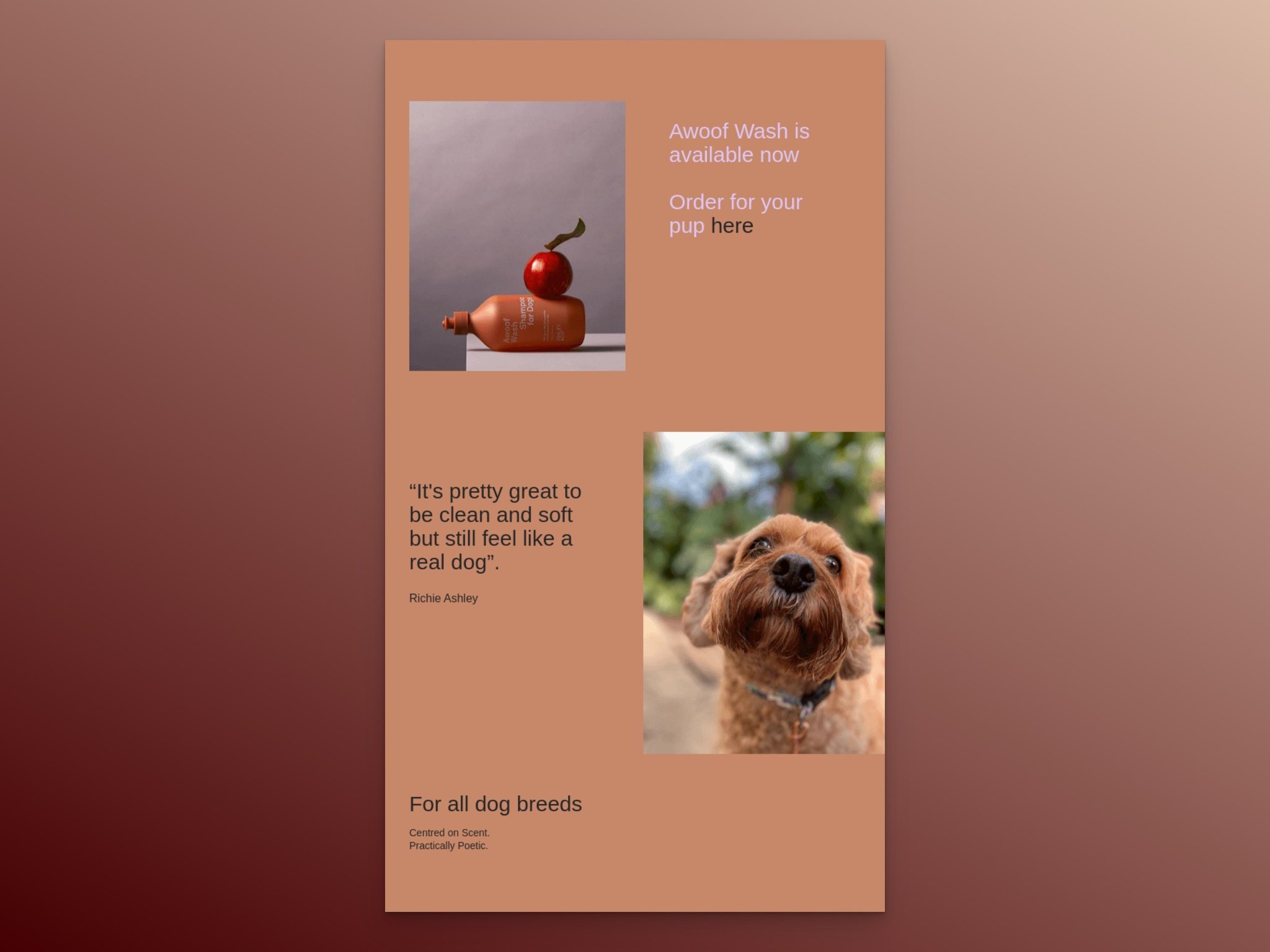 Ashley and Co pet care email with puppy image and product page CTA