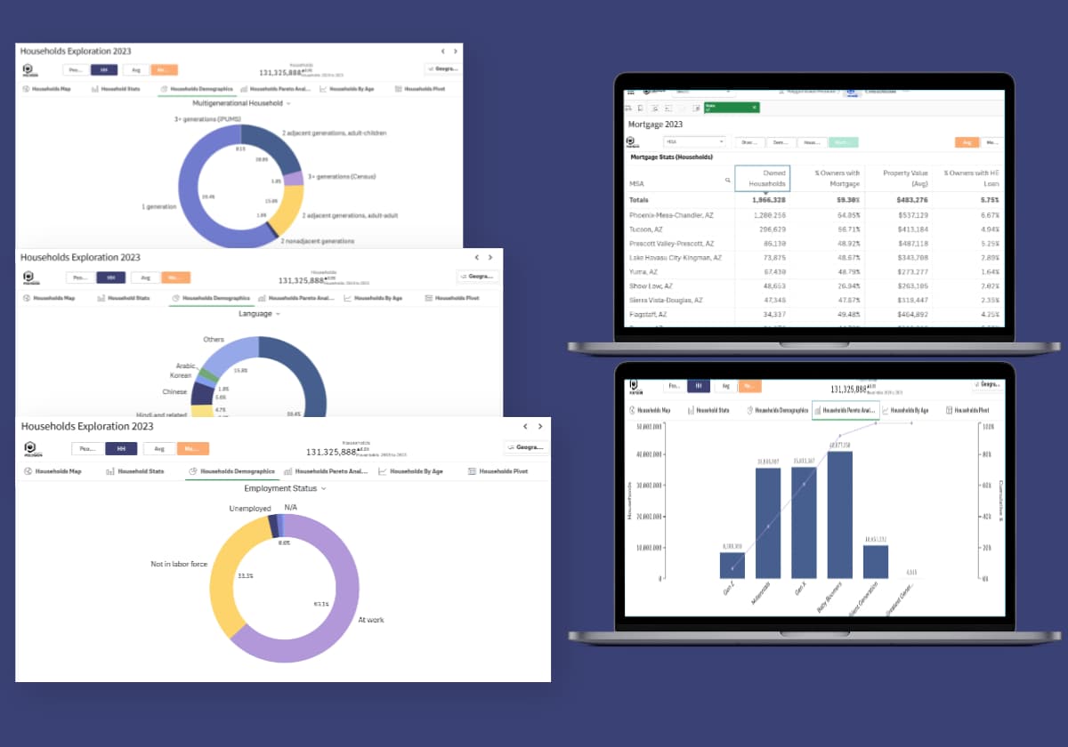 CensusVision dashboards showing community trends and demographics